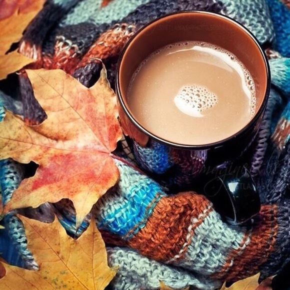 Meet your Posher, Casey - Picture 1 of 1